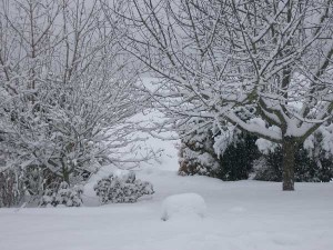 Unser Garten im Winter